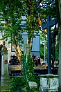 03s_DSC06358