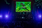 11s_DSC06384