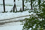 05-IMG_8969
