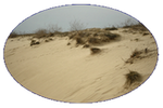 Pannon Desert
